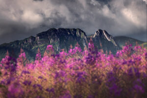 Giewont 05