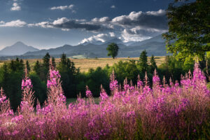 zakopane