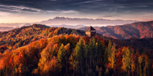 dji 20241022074658 0451 d pano